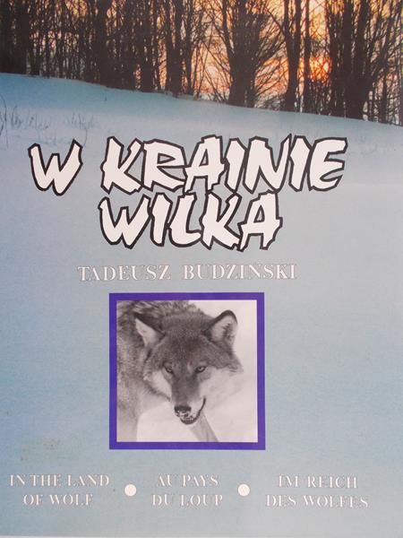 Budziński Tadeusz - W krainie wilka