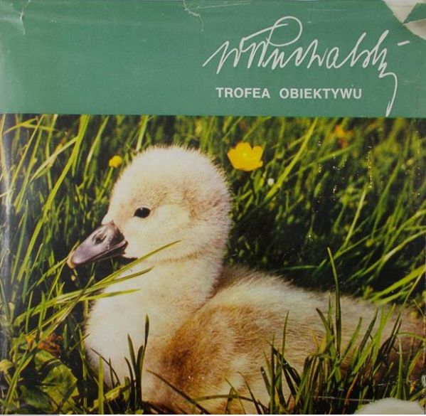 Święch Zbigniew - Trofea Obiektywu