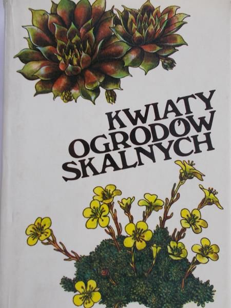Kwiaty ogrodów skalny