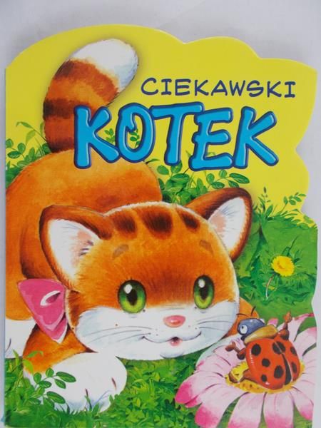 Ciekawski kotek