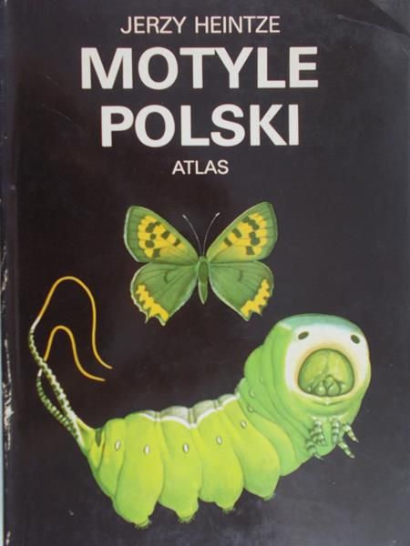 Heintze Jerzy - Motyle Polski