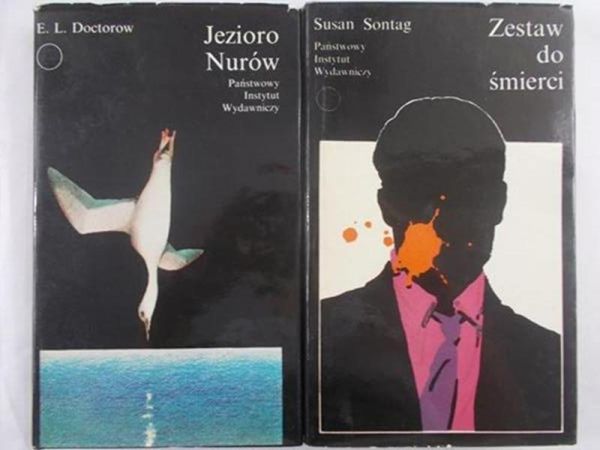 Doctorow E.L./ Sontag Susan - Jezioro nurów/ Zestaw do śmierci