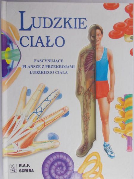 Abrahams Peter - Ludzkie ciało