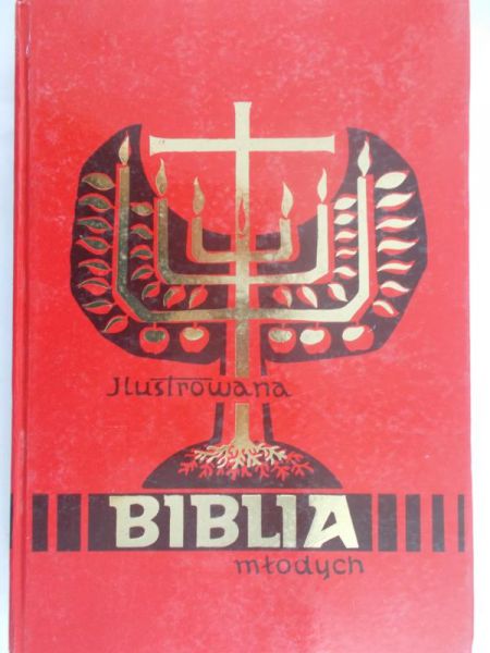 Hergesel Tomasz (oprac.) - Ilustrowana Biblia młodych