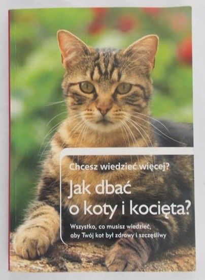 Jak dbać o koty i kocięta?