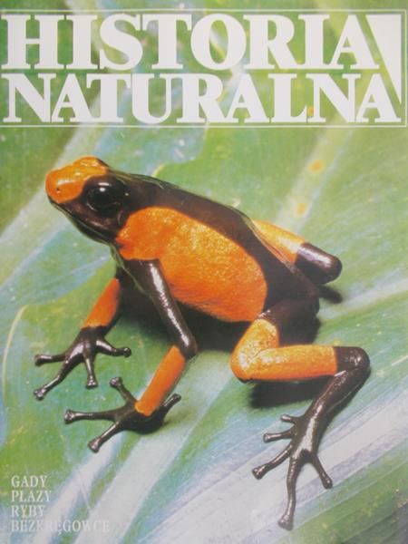 Zasieczny Andrzej - Historia naturalna. Kręgowce