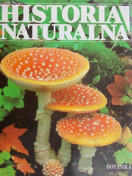 Zasieczny Andrzej - Historia naturalna. Botanika