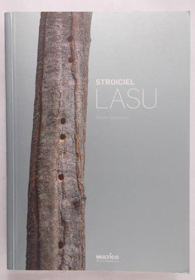 Stokowski Marek - Stroiciel Lasu