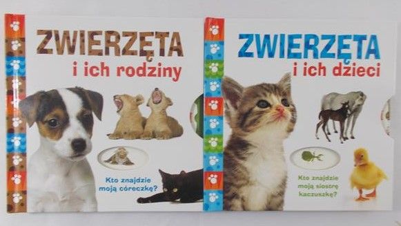 Zwierzęta i ich rodziny/ Zwierzęta i ich dzieci