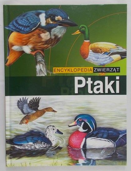 Wodecka Magdalena (tł.) - Ptaki