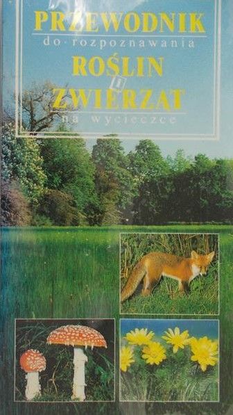 Zimmer Ute E. - Przewodnik do rozpoznywania roślin i zwierząt na wycieczce