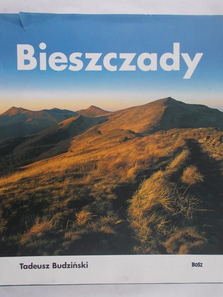 Budziński Tadeusz - Bieszczady