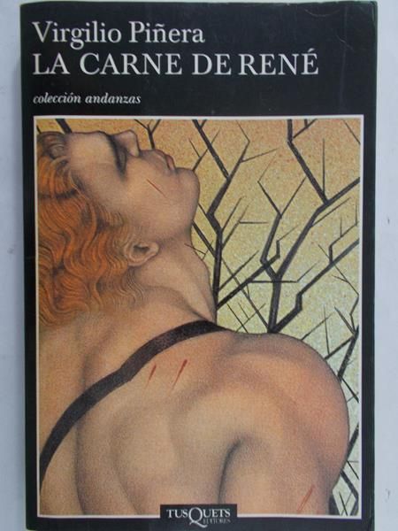 Pinera Virgilio - La carne de rene