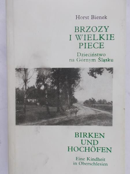 Bienek Horst - Brzozy i wielkie piece