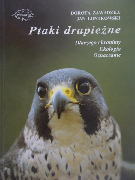 Zawadka Dorota - Ptaki drapieżne