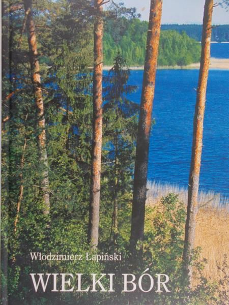 Łapiński Włodzimierz - Wielki Bór