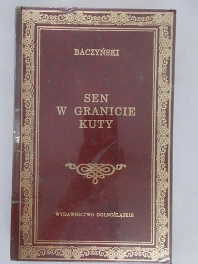 Baczyński Krzysztof - Sen w granicie kuty, Nowa