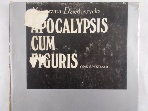 Dzieduszycka Małgorzata - Apocalypsis cum figuris