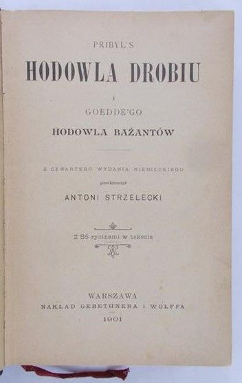 Strzelecki A.(tł.)- Hodowla  drobiu, 1909 r.