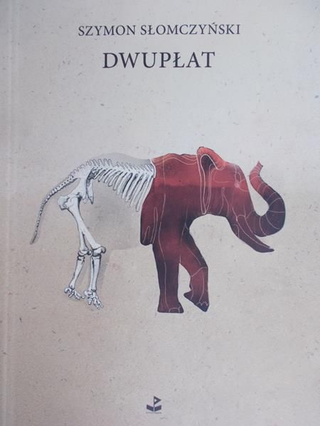 Słomczyński Szymon - Dwupłat