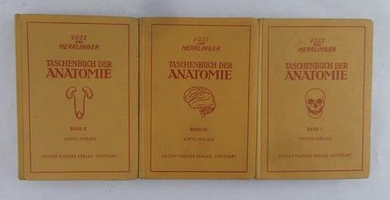 Herrlinger Robert - Taschenbuch der anatomie, zestaw 3 książek