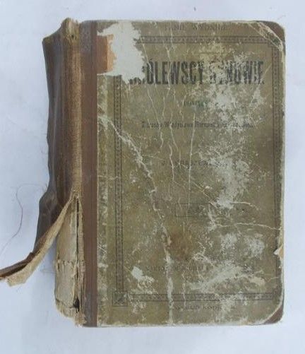 Kraszewski J.I - Królewscy synowie, Tom I, 1899 r.