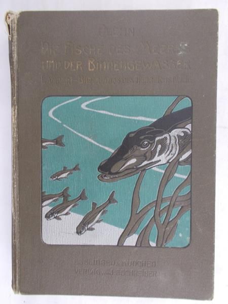 Plehn Marianne  - Die Fische Des Meeres und Der Binnengewasser, 1910 r.