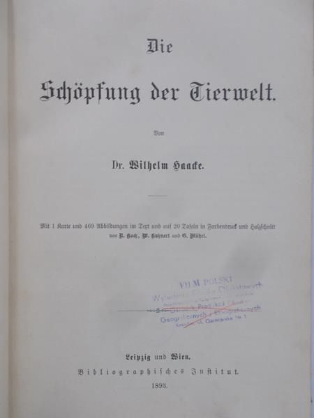 Die Schopfung der Tierwelt, 1893 r.