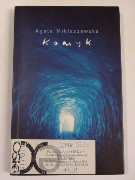 Kamyk
