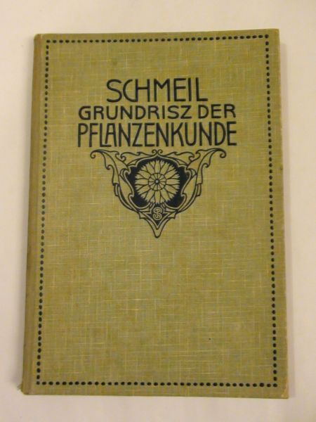 Grundriss der Pflanzenkunde, 1932