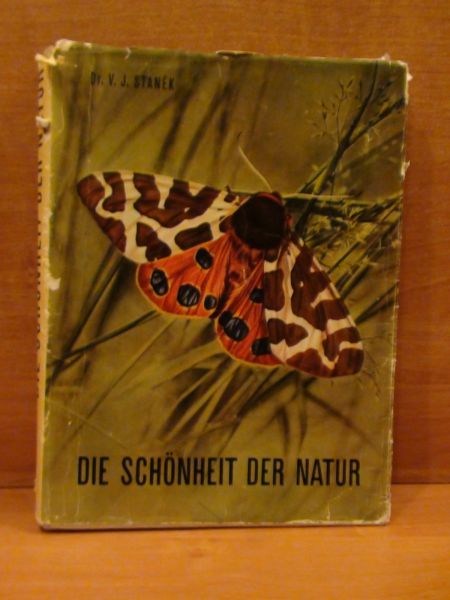 Die Schonheit der Natur
