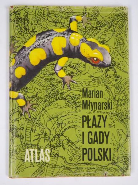 Płazy i gady Polski