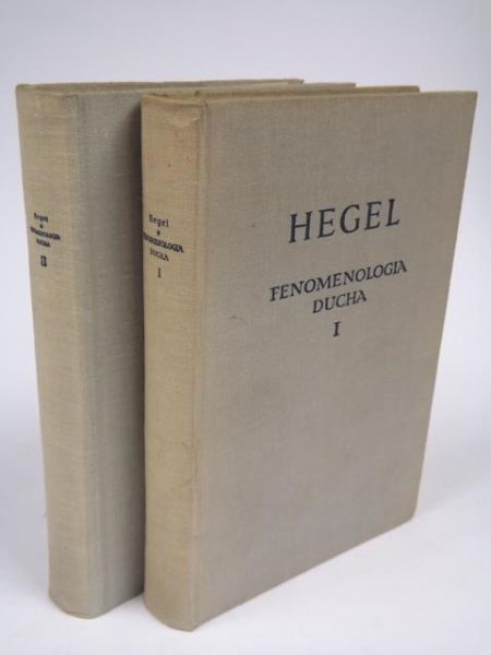 Fenomenologia ducha, T. I-II
