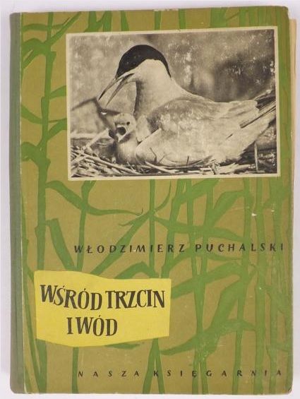 Wśród trzcin i wód