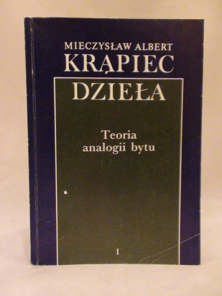 Teoria analogii bytu T.I
