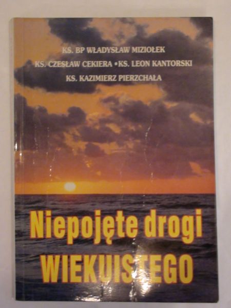 Mazurek Adam (red.) - Niepojęte drogi wiekuistego