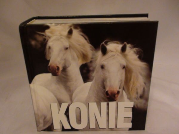 Konie - album pascal