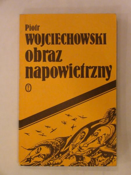 Obraz napowietrzny