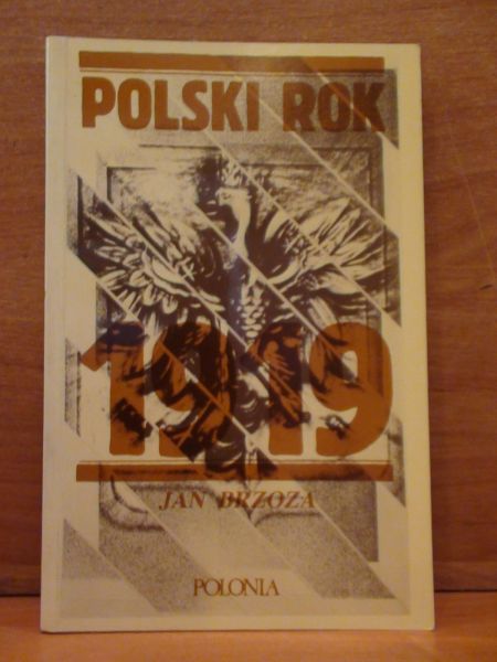Polski rok 1919