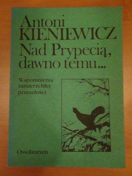 Nad Prypecią, dawno temu...