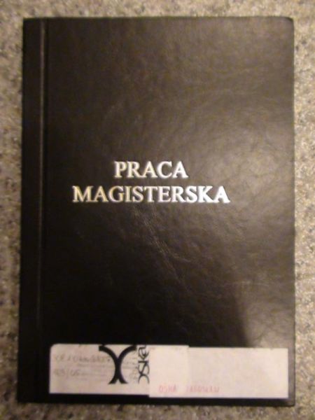Ruch feministyczny w III RP. Praca magisterska napisana pod kierunkiem dr hab. Stefana Stępnia