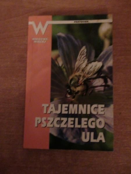 Tajemnice pszczelego ula
