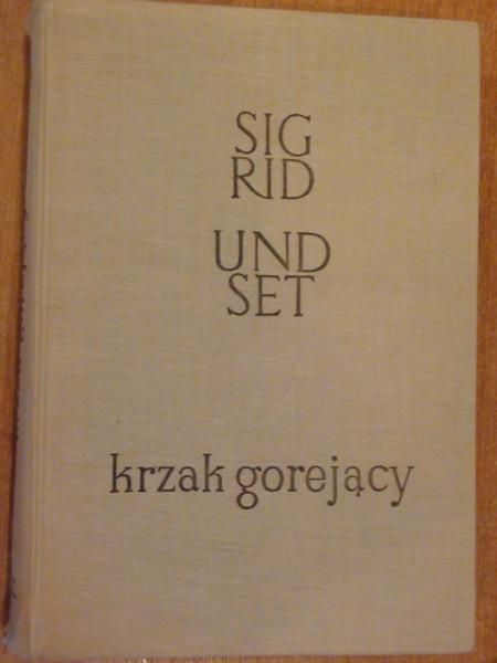 Undset Sigrid - Krzak gorejący