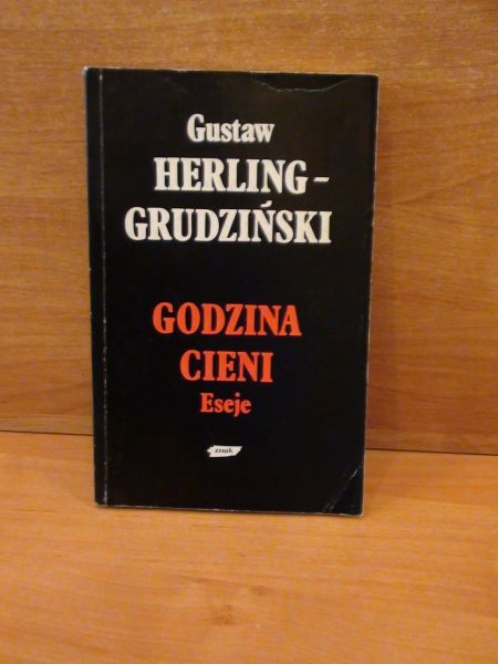 Godzina cieni.Eseje