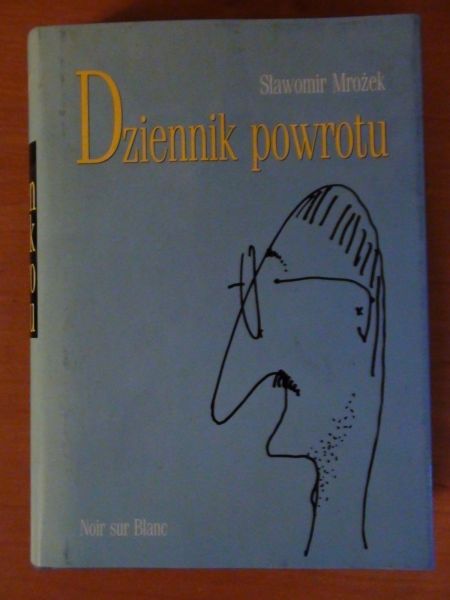 Dziennik powrotu