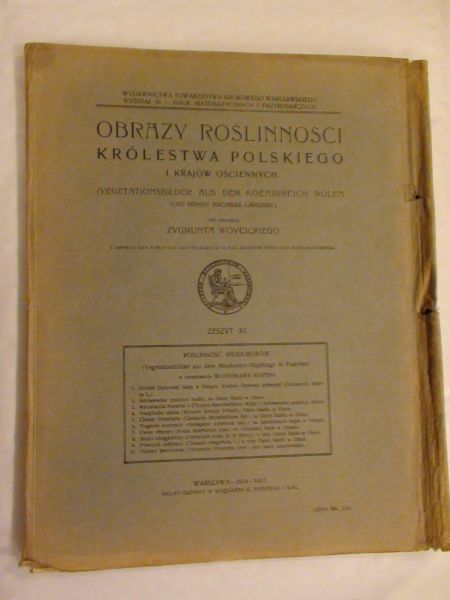 Obrazy roślinności Królestwa Polskiego - Miodobory  1914-1917 r.