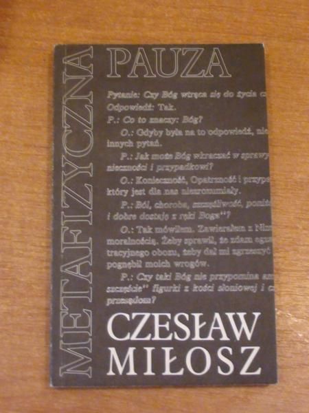 Metafizyczna pauza