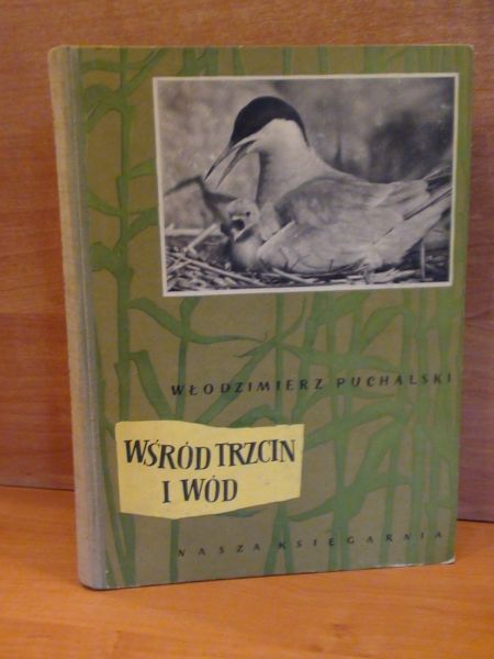 Wśród trzcin i wód