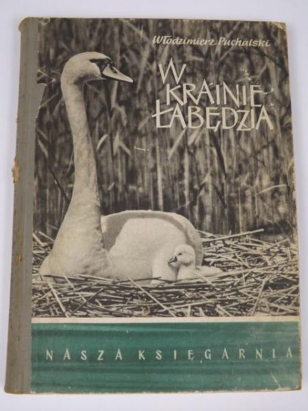 W krainie Łabędzia