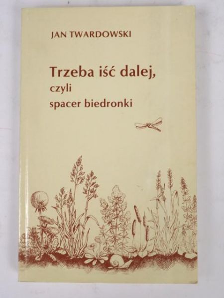 Trzeba iść dalej, czyli spacer biedronki